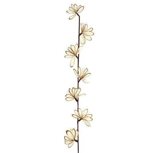 Floristik24 Sola Chips Sunny Stick Marrom, Branco 6 unid.