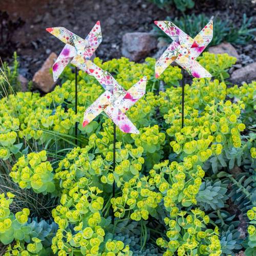 Floristik24 Moinho de vento de decoração de verão Ø14cm colorido no stick 3pcs