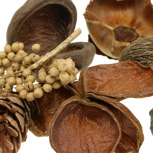 Floristik24 Sortido exótico com strobus cones nature 300g