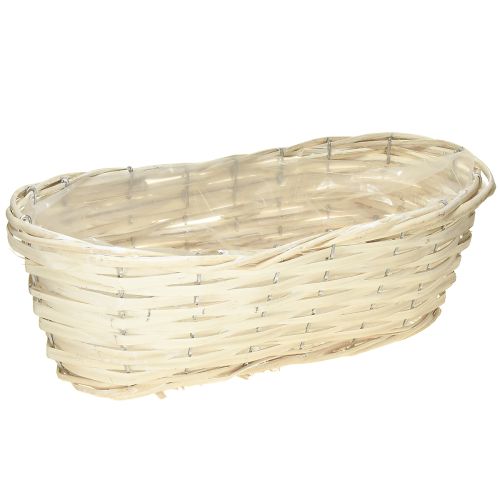 Cesta de salgueiro com planta caiada, 38×18×12cm