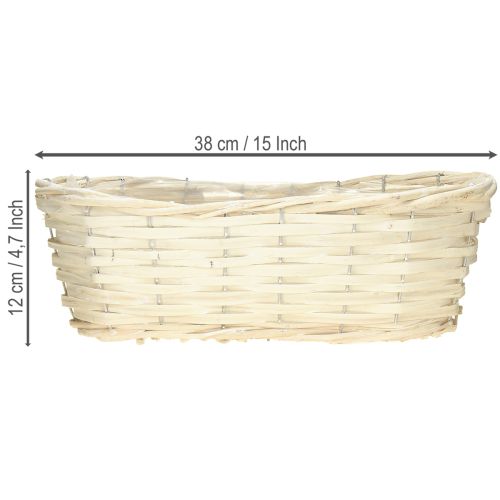 Itens Cesta de salgueiro com planta caiada, 38×18×12cm