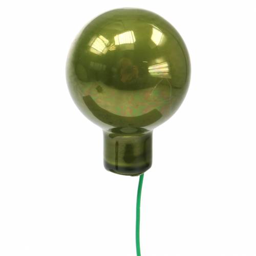 Floristik24 Decoração natalícia espelho bagas verde Ø2.5cm 140p