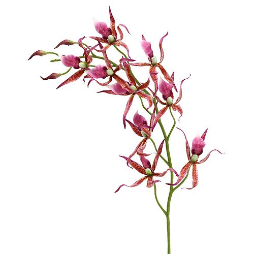 Floristik24 Orquídeas aranha rosa-laranja 108 cm 3 unidades