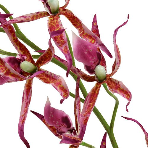 Itens Orquídeas aranha rosa-laranja 108 cm 3 unidades