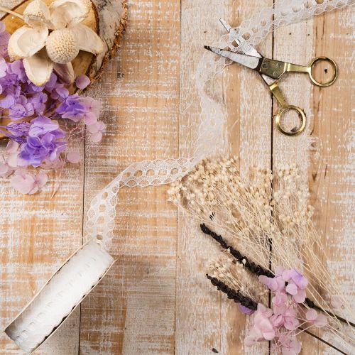 Fita decorativa com renda, algodão, borda fina, em rolo, 25 mm de largura, 10 m de comprimento. | Floristik24.pt