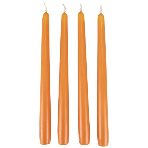 Floristik24 Velas cônicas Velas Wenzel laranja 250/23mm 12pcs