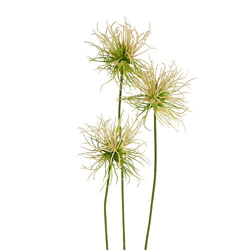 Floristik24 Galhos pontudos de bardana verde creme 63 cm 4 unidades