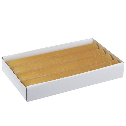 Floristik24 Velas cônicas velas de cor sólida mel 34x240mm 4 un