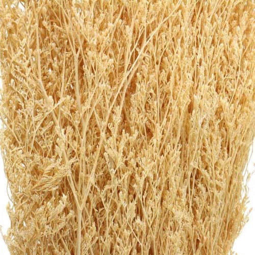 Floristik24 Creme de Lavanda do Mar Seco Statice Dry Deco 100g
