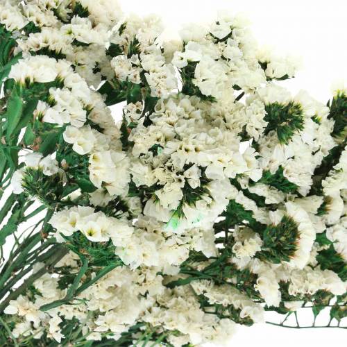 Floristik24 Ramo de flores secas lavanda do mar branco 40–55cm 120g