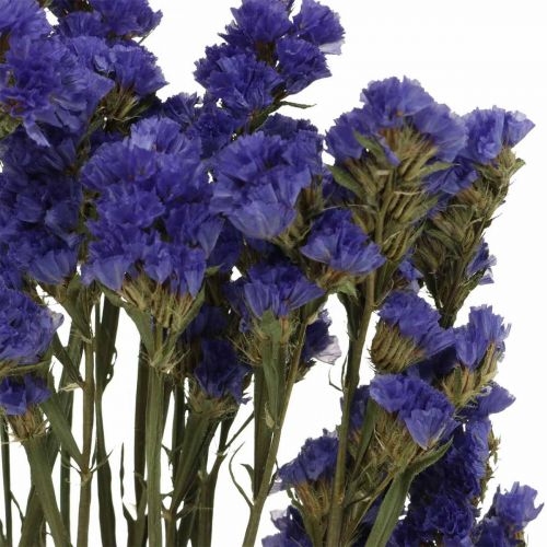 Itens Ramo de Lavanda do Mar, Flores Secas, Lavanda do Mar, Statice Tatarica Azul L46–57cm 23g