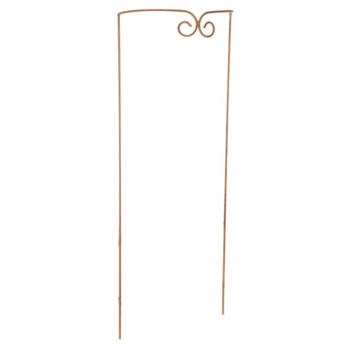 Floristik24 Treliça, suporte para plantas trepadeiras, elemento decorativo curvo para canteiros e vasos de plantas, 75 cm
