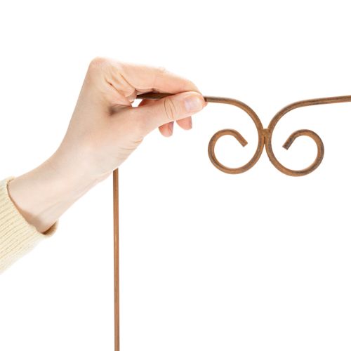 Itens Treliça, suporte para plantas trepadeiras, elemento decorativo curvo para canteiros e vasos de plantas, 75 cm