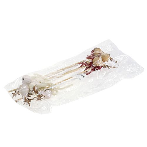 Floristik24 Plug elk nature, branco 7cm L30cm 8pcs