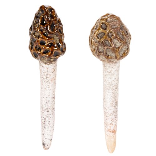 Cogumelo morel artificial decorativo para vasos de plantas e mesas, 13 cm, 2 peças comprar | Floristik24.pt