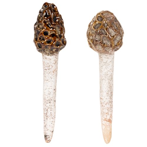 Cogumelo morel artificial decorativo para vasos de plantas e mesas, 13 cm, 2 peças | Floristik24.pt