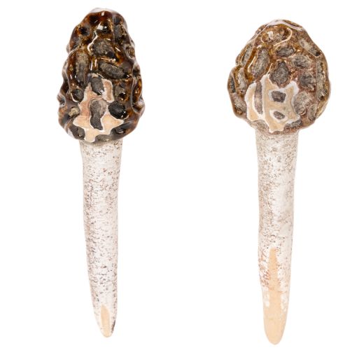 Cogumelo morel artificial decorativo para vasos de plantas e mesas, 13 cm, 2 peças | Floristik24.pt
