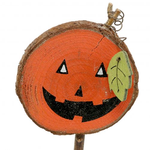 Floristik24 Plug natureza abóbora, laranja 8cm 12pcs