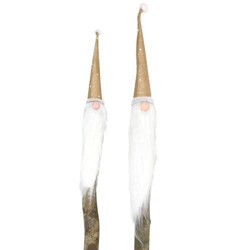 Floristik24 Conjunto de plugues de madeira Gnomo com barba feito de ramo natural Ø3 / 3.2cm C44 / 59cm 2pcs
