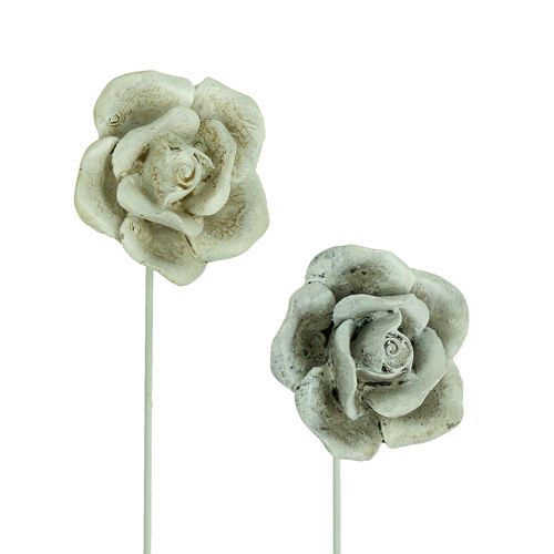 Floristik24 Tipo de rosas do plug. Ø5,5cm L19cm 4pcs