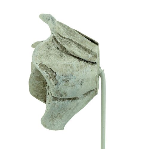 Floristik24 Conecte rosas variadas. Ø5,5cm C19cm 4 peças