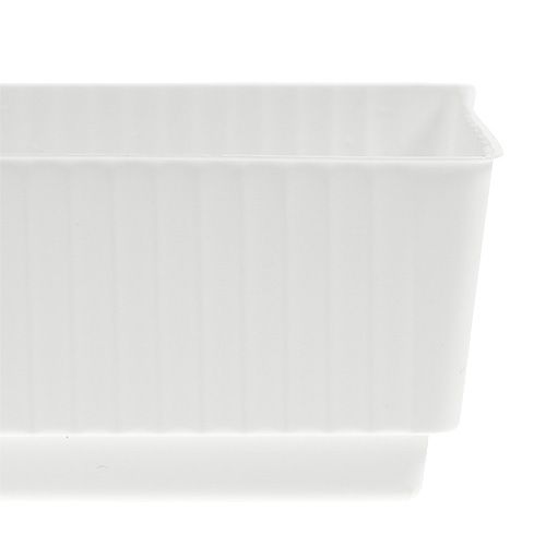 Floristik24 Bandeja de soquete espuma molhada 23 x 8 x 4,5 branco 10 unidades