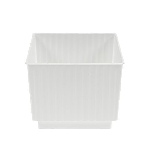 Floristik24 Cubos para espuma floral 6,5cm branco 20 un