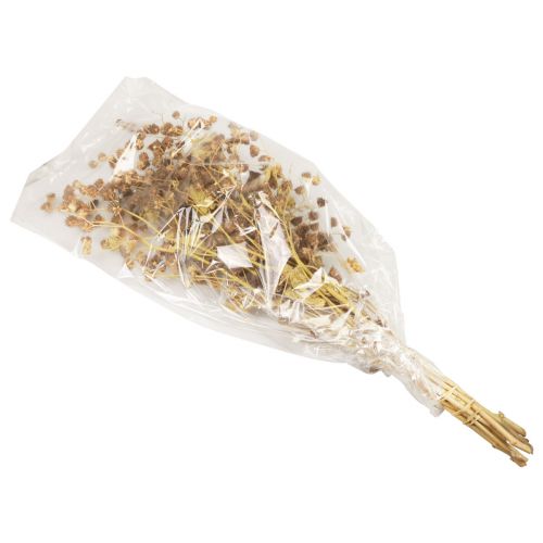 Itens Flores secas decoração ramos decorativos Ramo Stefani 95cm 200g