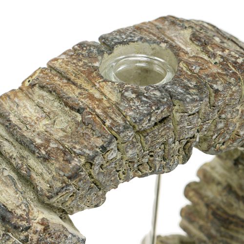 Floristik24 Vaso de concreto com anel de tubo de ensaio Ø16cm
