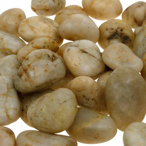 Floristik24 Seixos de rio creme natural 2-4cm 1kg