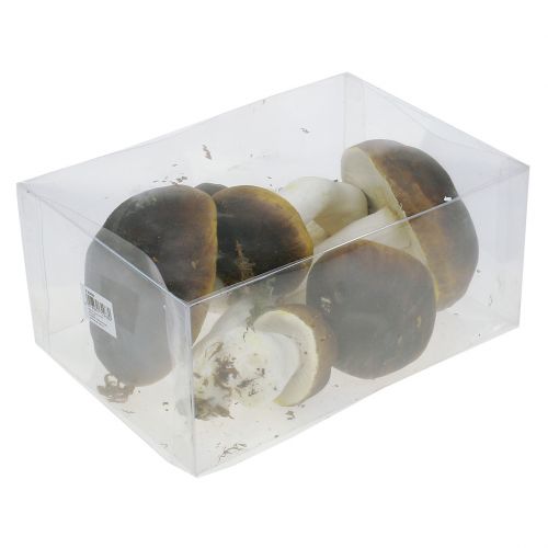 Floristik24 Cogumelo Porcini castanho H8cm - 20cm 6pcs