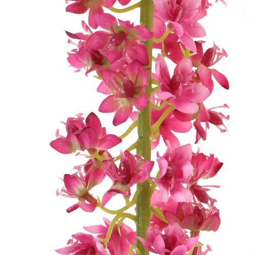 Itens Estepe vela deserto cauda rosa 106 cm