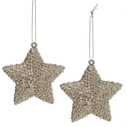 Floristik24 Estrela com mica champanhe 7.5cm 12pcs
