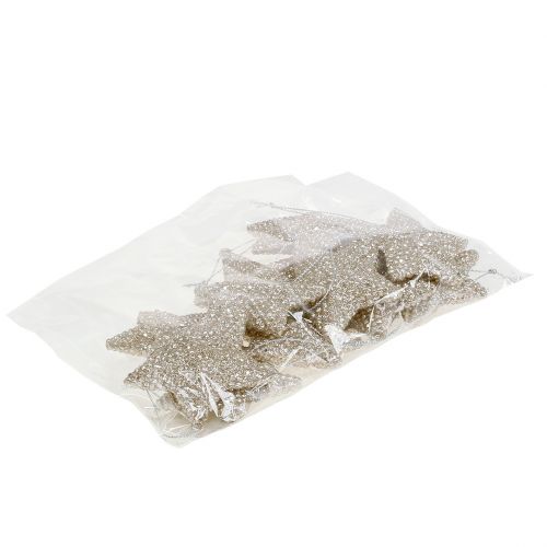 Floristik24 Estrela com mica champanhe 7.5cm 12pcs