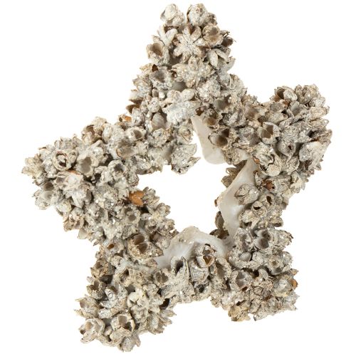 Floristik24 Estrela para pendurar decoração de Natal branca, glitter Ø15cm