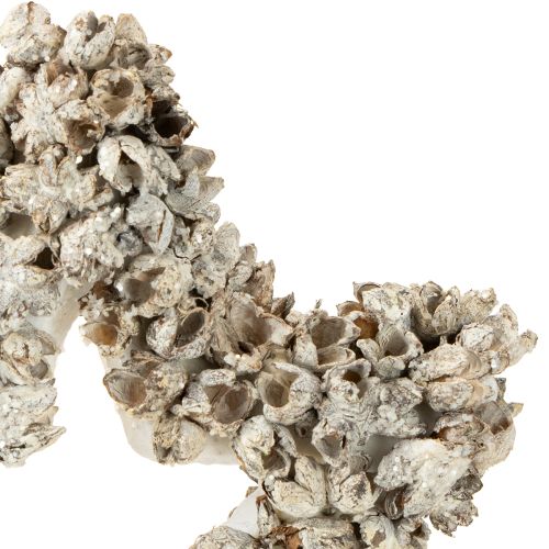 Itens Estrela para pendurar decoração de Natal branca, glitter Ø15cm