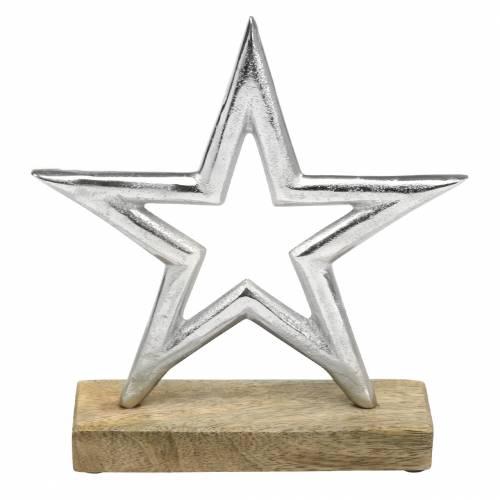 Floristik24 Estrela para configurar Mango, metal prata 21 × 16,5 cm