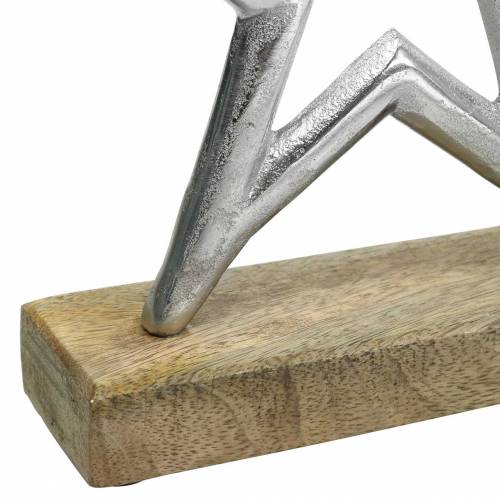 Floristik24 Estrela para configurar Mango, metal prata 21 × 16,5 cm
