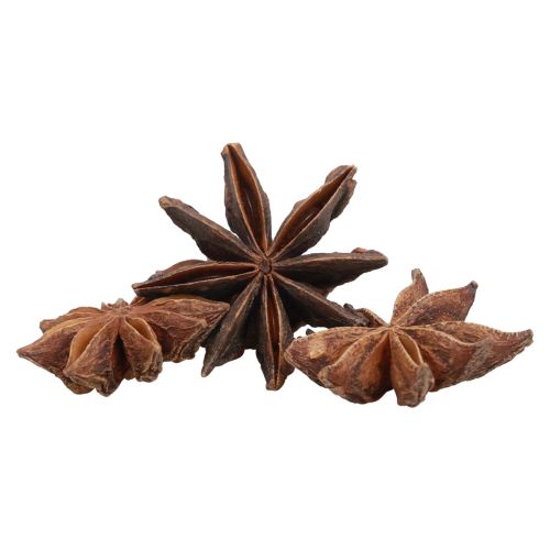 Itens Anis estrelado item artesanal decorativo decoração natural anis seco 500g