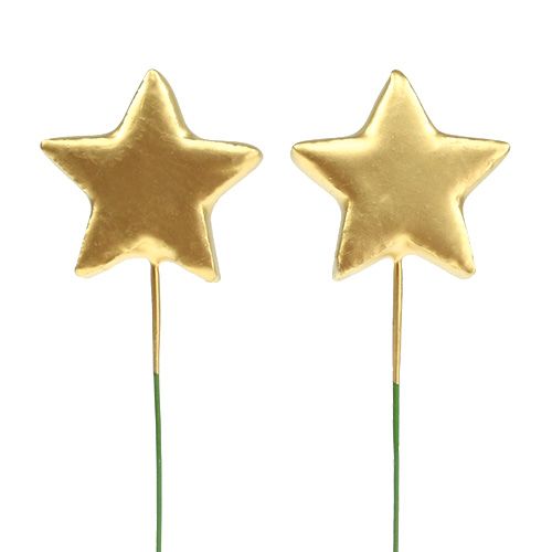 Floristik24 Estrelas em arame para artesanato dourado 5cm C23cm 48 un