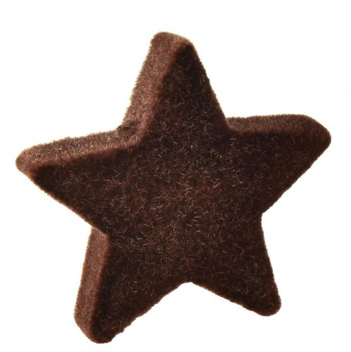 Floristik24 Decoração de estrelas espalhadas mix decoração de natal marrom e dourada 4cm/5cm 40 un