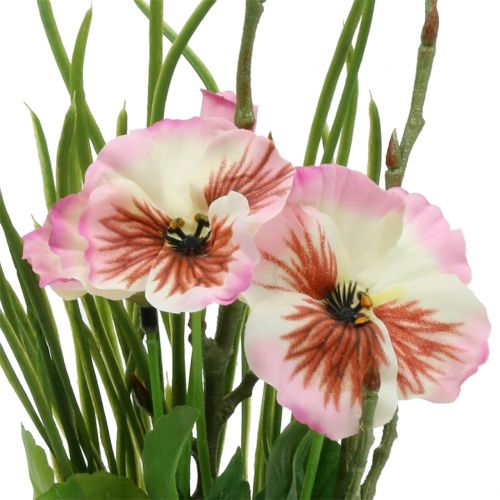 Floristik24 Pansy com bola de musgo rosa 31cm