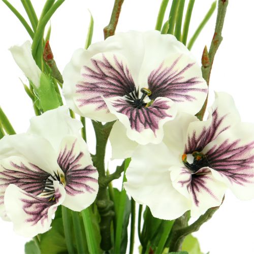 Floristik24 Amor-perfeito com bola de musgo branco 31cm