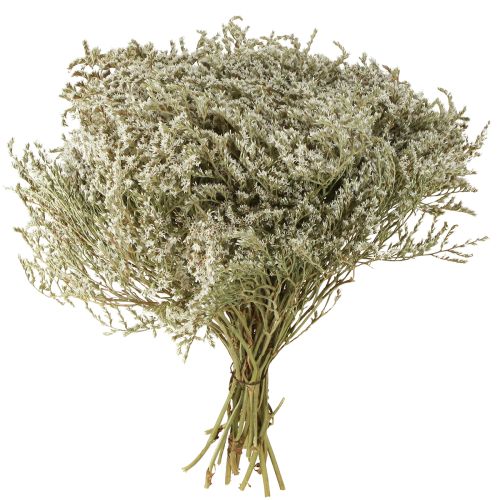 Lavanda do mar Statice Tatarica flores secas naturais 2kg