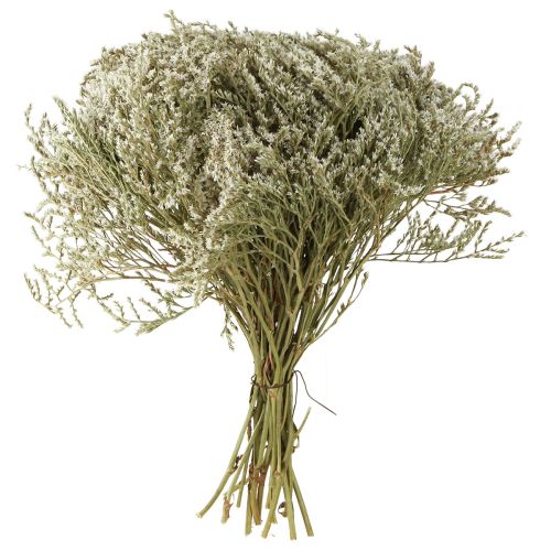 Itens Lavanda do mar Statice Tatarica flores secas naturais 2kg