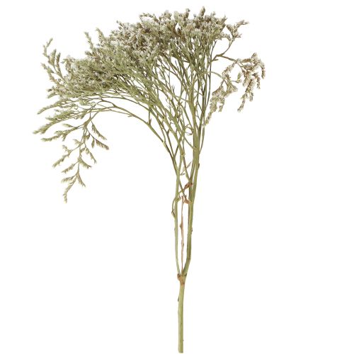 Itens Lavanda do mar Statice Tatarica flores secas naturais 2kg