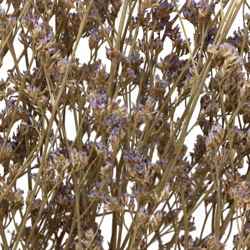 Itens Praia Lilás Limonium Flores Secas Roxas 70cm 50g