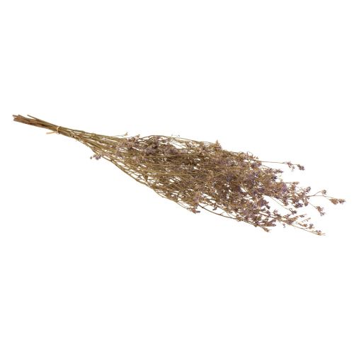 Itens Praia Lilás Limonium Flores Secas Roxas 70cm 50g