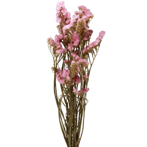 Floristik24 Praia Lilás Rosa Limonium Flores Secas 60cm 50g