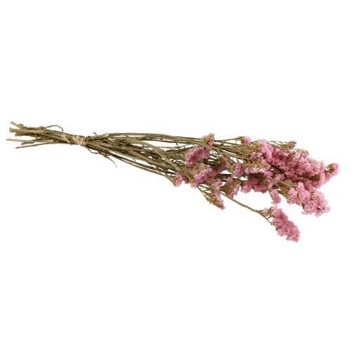 Floristik24 Praia Lilás Rosa Limonium Flores Secas 60cm 50g